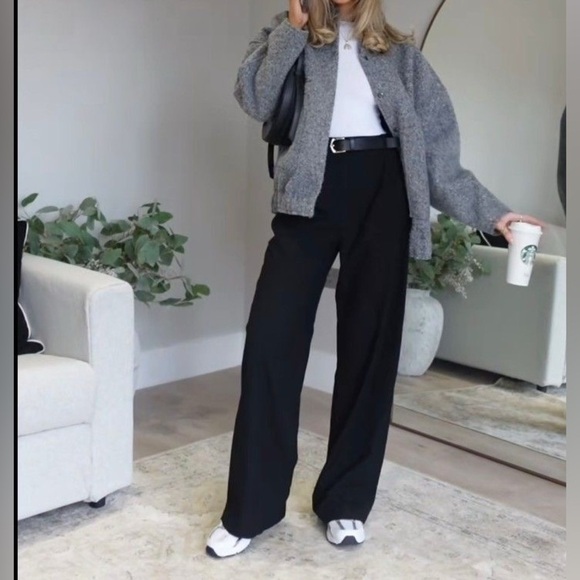 Aritzia Pants - Babaton Malcom Wide-Leg Wool Dress Pant